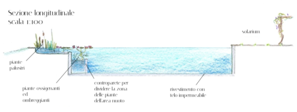 alt="architettura-outdoor-piscine-naturali-ecosostenibili-schema-disegno"