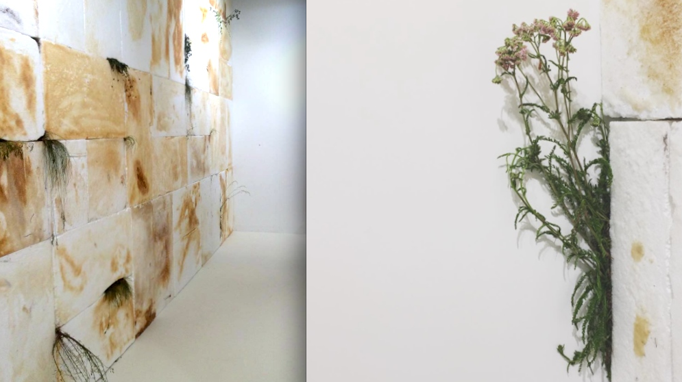 alt="Art Basel 2017 - Muro del pianto - Aldo Mondino - Galleria Isabella Bortolozzi"