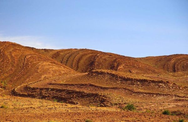 alt="esoticdesign-desert-romadakar"