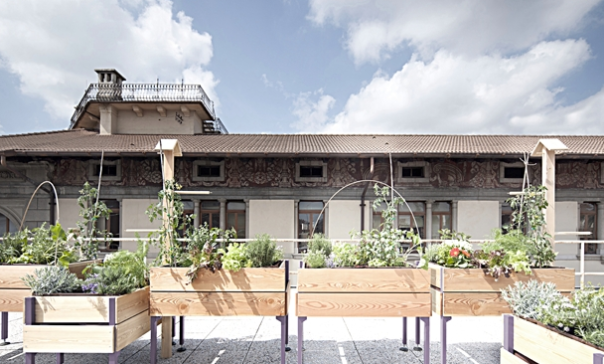 alt="guerrilla-gardening-vegetable-orto-in-terrazza"