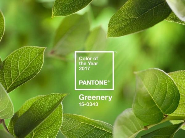 alt="tendenzecolore-pantone-2017-greenery"