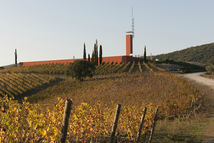 alt="Architettura e design - Cantina Rocca di Frassinello - progetto di Renzo Piano - vista esterna"