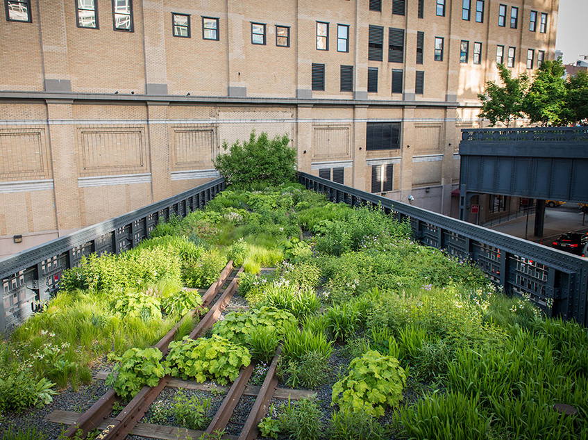 alt="High line - New York - Ex ferrovie - Diller Scofidio Rrenfro Oudolf